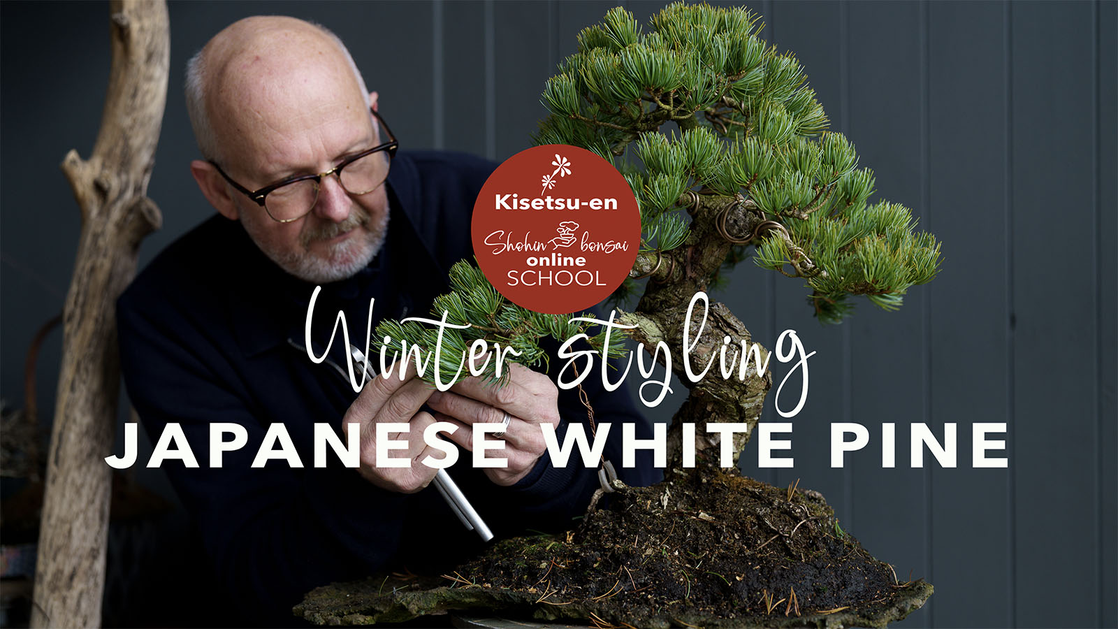 PLAY-shohin-school-white-pine